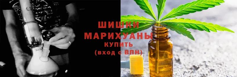 наркотики  Волосово  блэк спрут вход  Каннабис сатива 